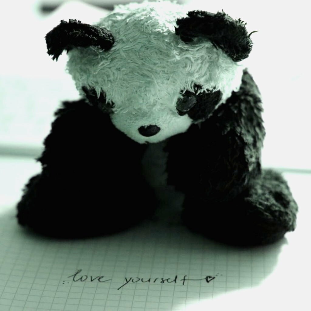 Peluche Panda Petit Panda Collection
